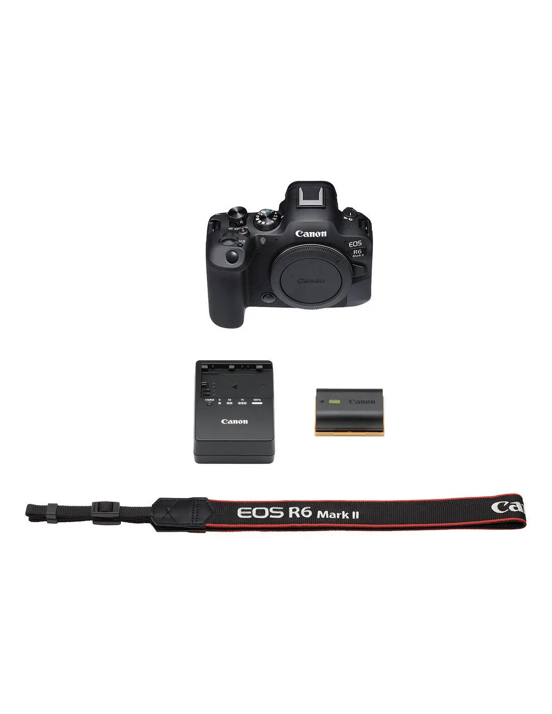 Canon EOS R6 MARK II 9 canon eos r6
