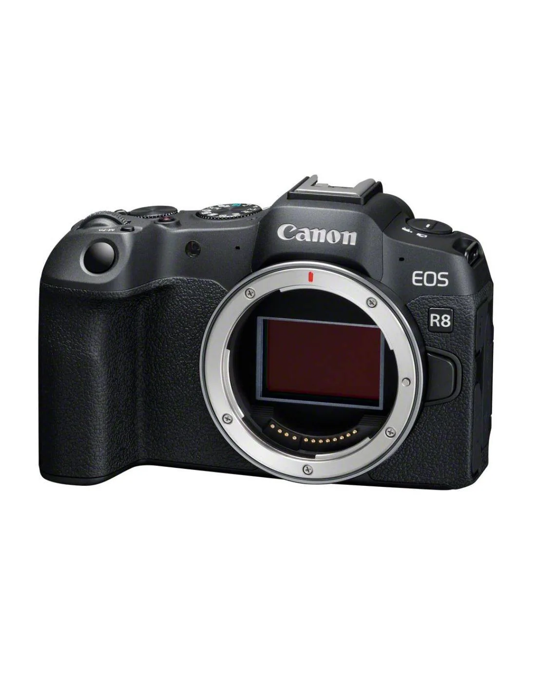 Canon EOS R8 2 objetivo canon