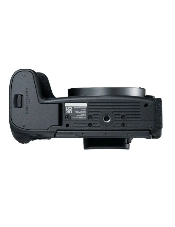 Canon EOS R8 12 objetivo canon