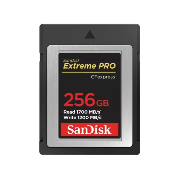 sandisk extreme pro 256gb