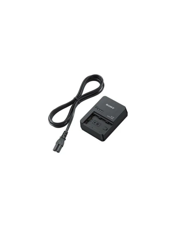 sony cargador para npfz100