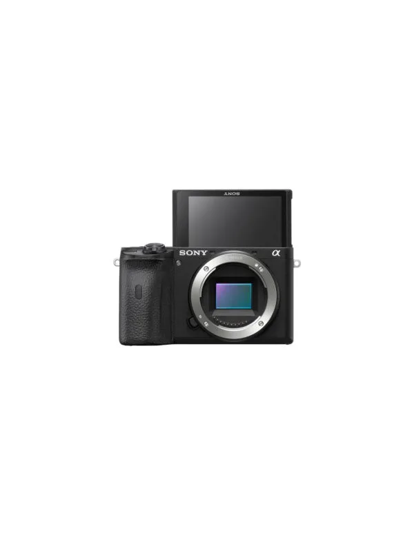 Sony a6600 13 sony a6600