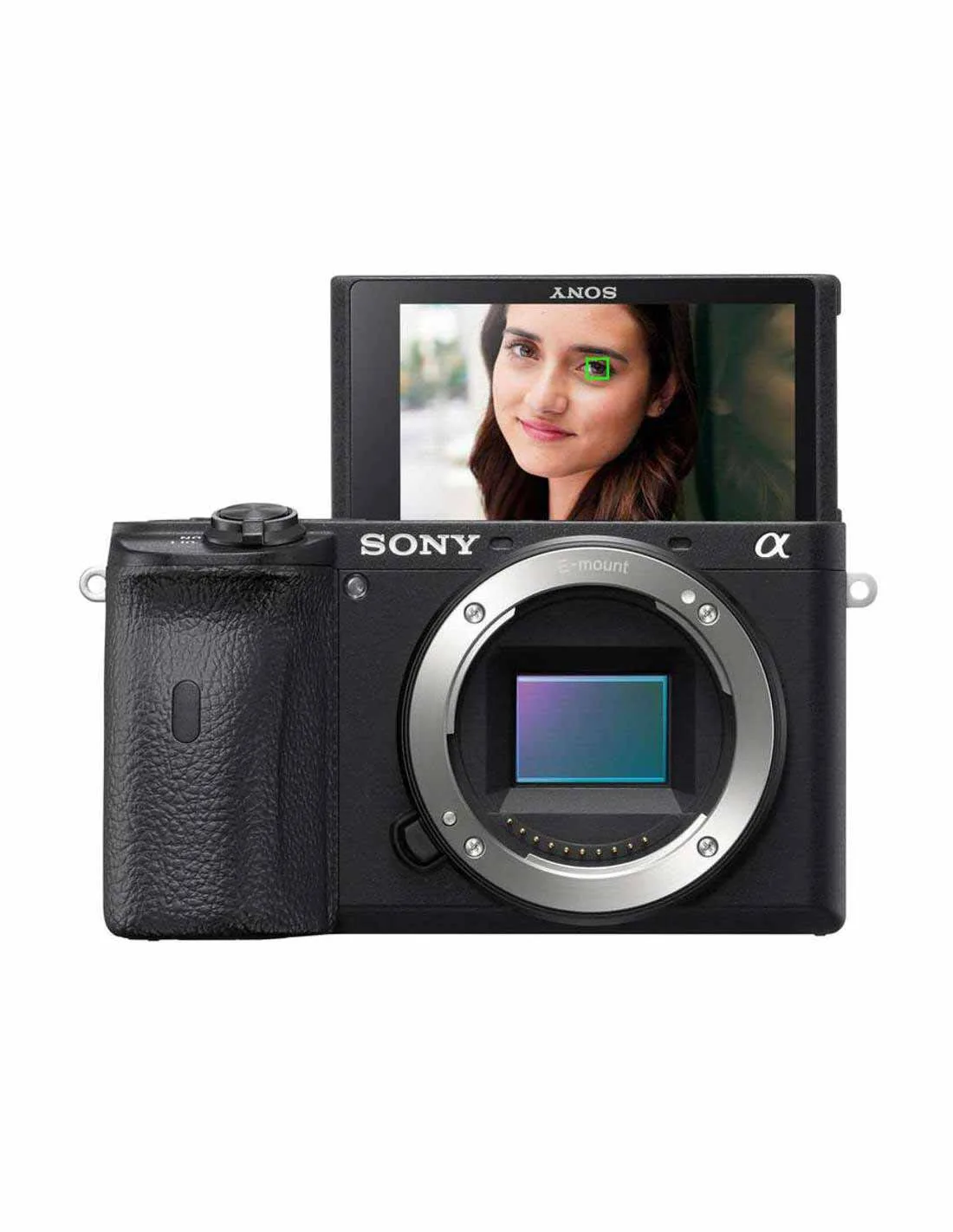 Sony a6600 7 sony a6600
