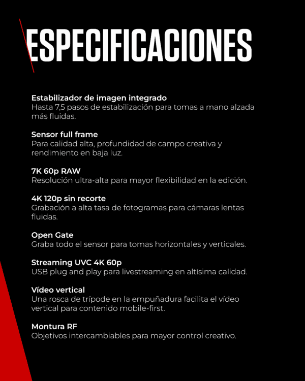 Canon EOS R6 V