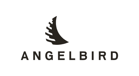 angelbird 13