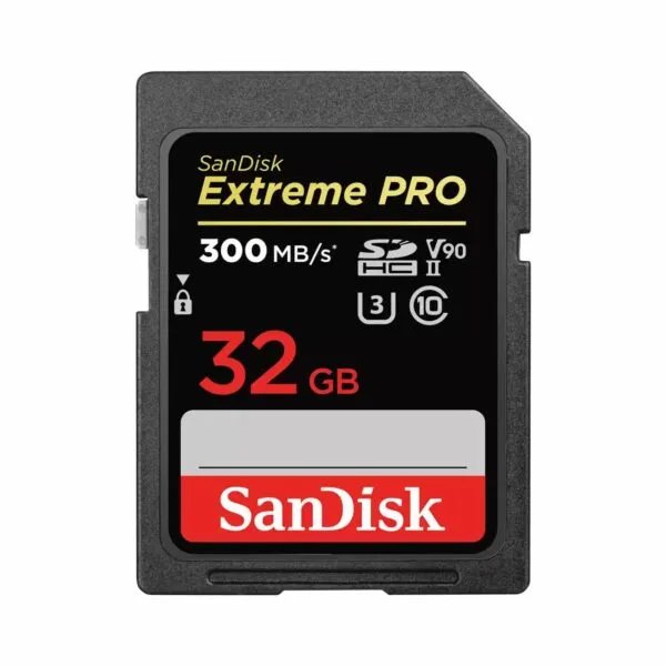 sandisk