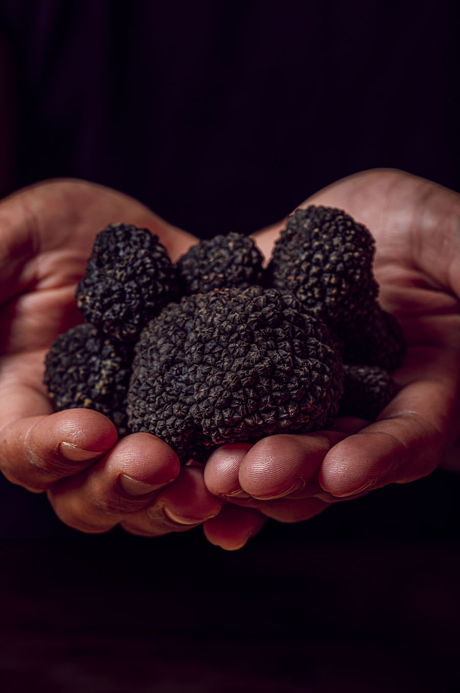 TRUFAS 2024 -11