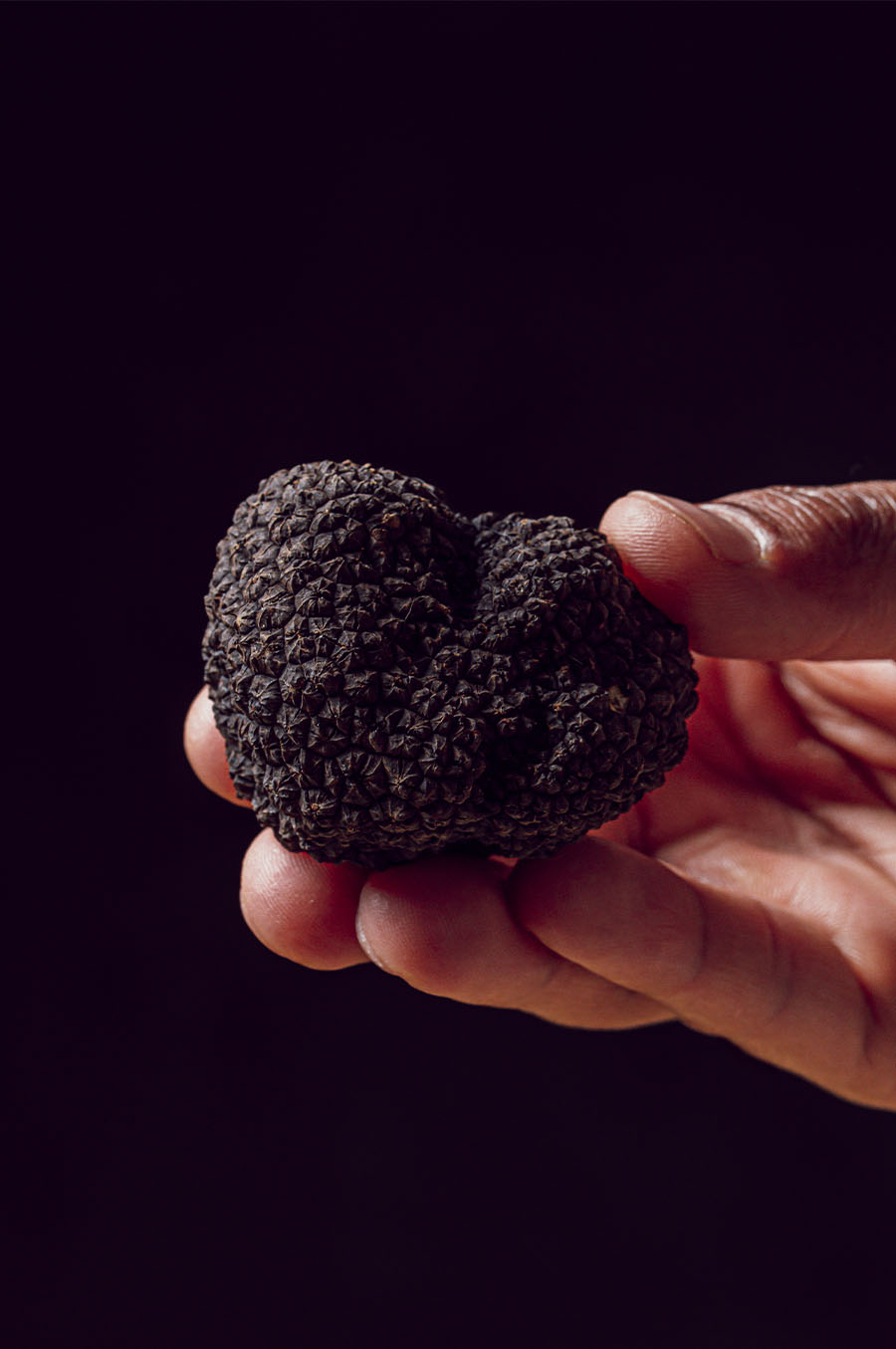 TRUFAS 2024 -8
